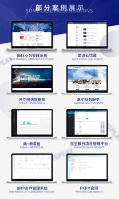 企業(yè)官網(wǎng)建設開發(fā)軟件